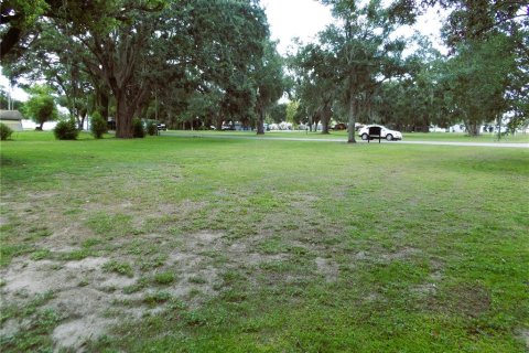 Terrain à vendre à Brandon, Floride № 1828446 - photo 3