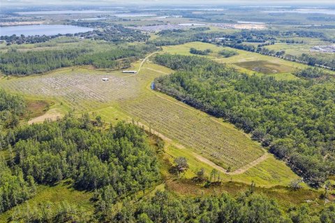 Terreno en venta en Lake Alfred, Florida № 2105675 - foto 16