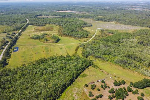 Terreno en venta en Lake Alfred, Florida № 2105675 - foto 13