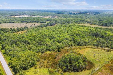 Terreno en venta en Lake Alfred, Florida № 2105675 - foto 11