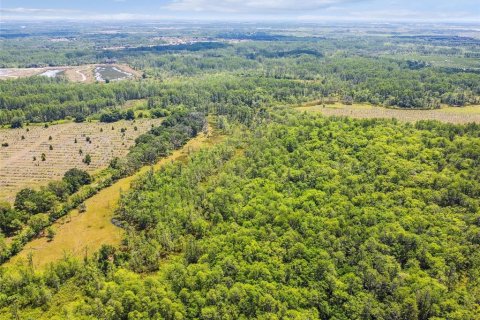 Terreno en venta en Lake Alfred, Florida № 2105675 - foto 8