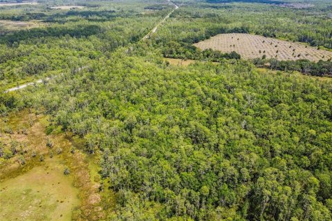 Terreno en venta en Lake Alfred, Florida № 2105675 - foto 10