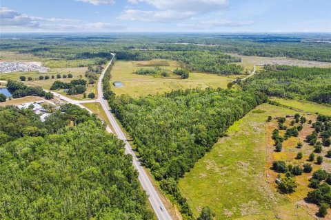 Terreno en venta en Lake Alfred, Florida № 2105675 - foto 12