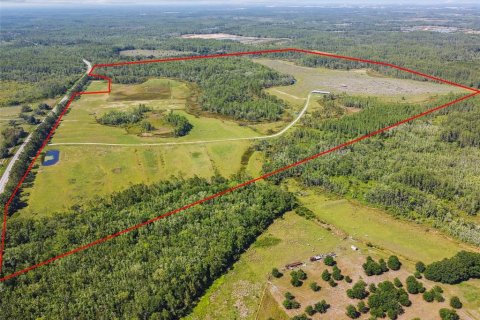 Land in Lake Alfred, Florida № 2105675