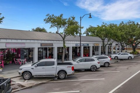 Купить виллу или дом в Тампа, Флорида 6 комнат, 125.88м2, № 1820500 - фото 22