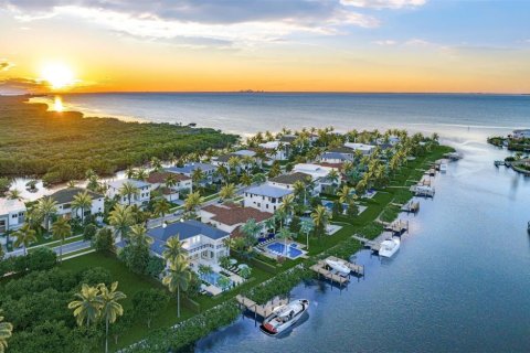 Land in Apollo Beach, Florida № 1565969 - photo 4