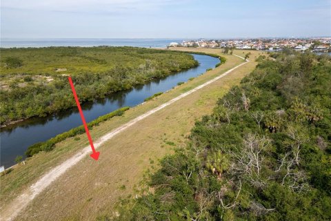 Land in Apollo Beach, Florida № 1565969 - photo 2