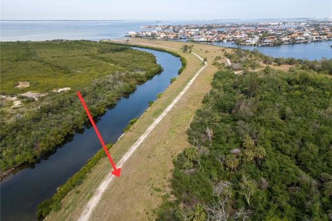 Land in Apollo Beach, Florida № 1565969 - photo 1