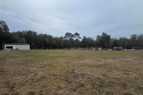 Terreno en Webster, Florida № 2143023