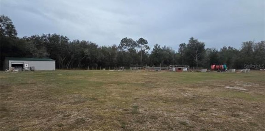 Terreno en Webster, Florida № 2143023