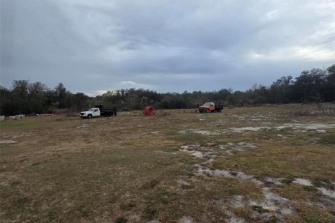 Terreno en venta en Webster, Florida № 2143023 - foto 4