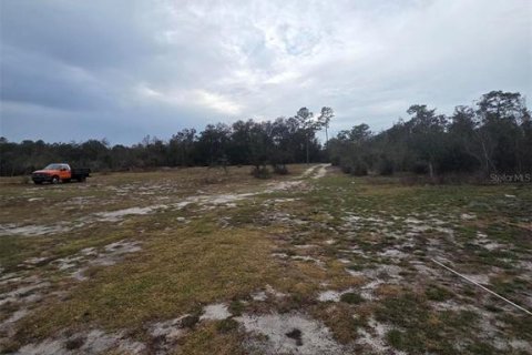 Terreno en venta en Webster, Florida № 2143023 - foto 2