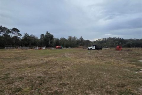 Terreno en venta en Webster, Florida № 2143023 - foto 6