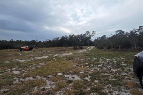 Terreno en venta en Webster, Florida № 2143023 - foto 3