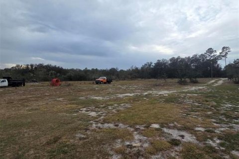 Terreno en venta en Webster, Florida № 2143023 - foto 5
