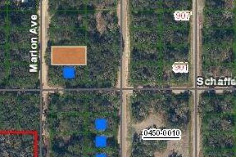 Terrain à vendre à Interlachen, Floride № 2223879 - photo 2