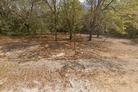 Terrain à vendre à Interlachen, Floride № 2223879 - photo 4