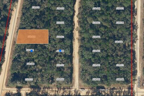Terrain à Interlachen, Floride № 2223895