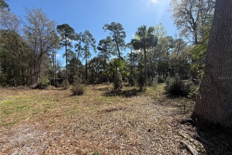 House in Paisley, Florida 3 bedrooms, 100.33 sq.m. № 2105899 - photo 3