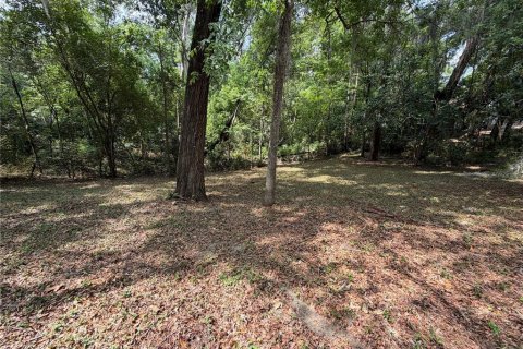 Terreno en venta en Gainesville, Florida № 2109316 - foto 8