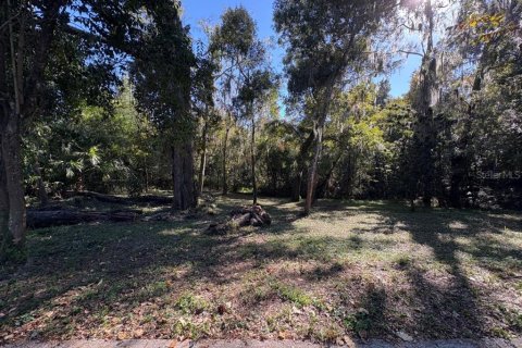 Terreno en venta en Gainesville, Florida № 2109316 - foto 9