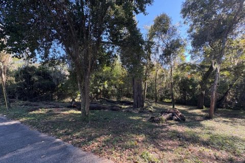 Terreno en venta en Gainesville, Florida № 2109316 - foto 10