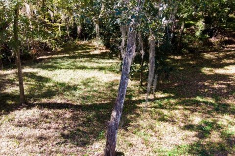 Terreno en venta en Gainesville, Florida № 2109316 - foto 15