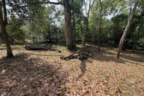Terreno en venta en Gainesville, Florida № 2109316 - foto 6