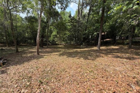 Terrain à Gainesville, Floride № 2109316