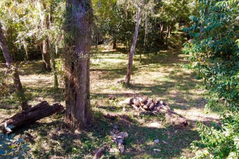 Terreno en venta en Gainesville, Florida № 2109316 - foto 4