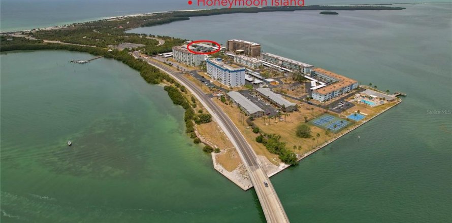 Condo in Dunedin, Florida, 3 bedrooms № 1677037