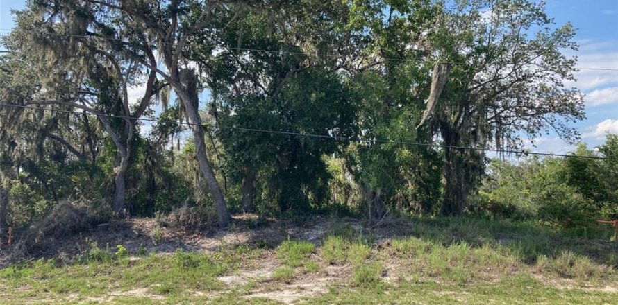 Terrain à Babson Park, Floride № 2159649