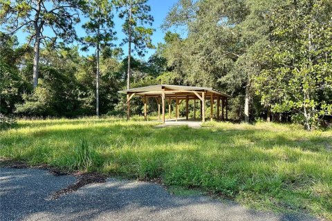 Immobilier commercial à louer à Astor, Floride: 421.96 m2 № 2299109 - photo 3