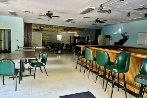 Immobilier commercial à louer à Astor, Floride: 421.96 m2 № 2299109 - photo 2