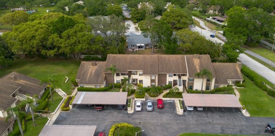 Condo in Palm Harbor, Florida, 2 bedrooms № 1624748