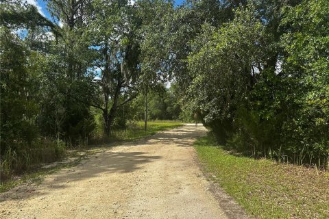 Terrain à vendre à Ocala, Floride № 2225720 - photo 2
