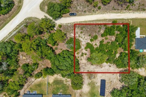 Land in Ocala, Florida № 2225720