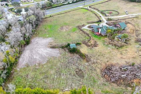Land in Ocala, Florida № 2206264 - photo 3
