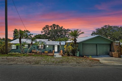 House in Tavares, Florida 3 bedrooms, 112.6 sq.m. № 1904041 - photo 1