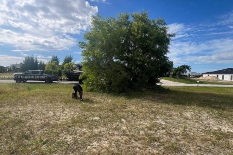 Commercial property in Cape Coral, Florida № 1972840