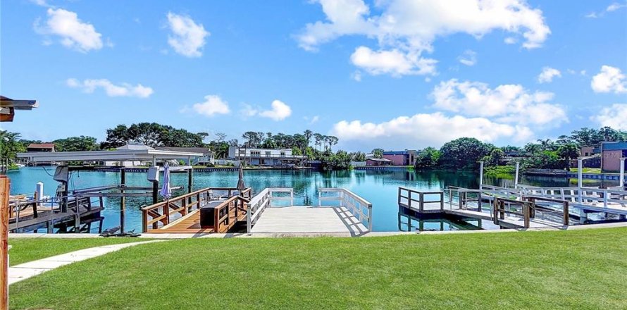 Condo in Palm Harbor, Florida, 1 bedroom  № 1806897