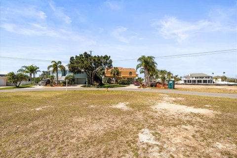 Land in Hernando Beach, Florida № 1575177 - photo 17