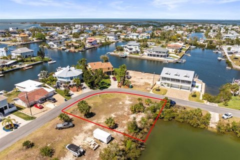 Land in Hernando Beach, Florida № 1575177 - photo 4