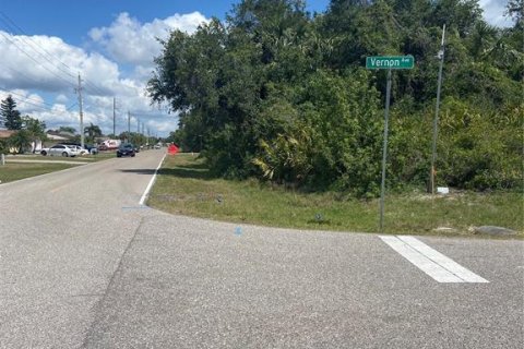 Land in Port Charlotte, Florida № 2160038 - photo 5