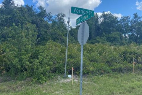 Land in Port Charlotte, Florida № 2160038 - photo 2