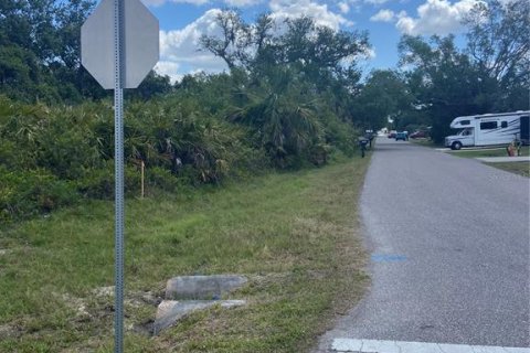 Land in Port Charlotte, Florida № 2160038 - photo 3