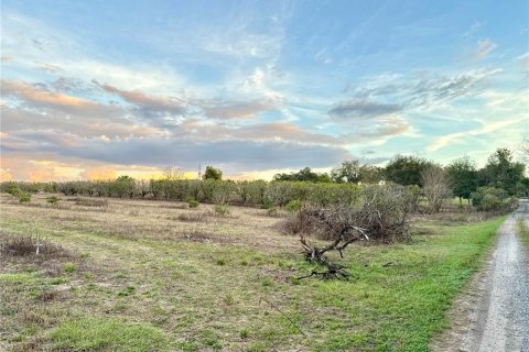 Terreno en venta en Weirsdale, Florida № 1539820 - foto 1