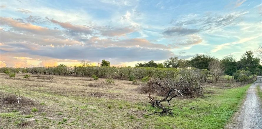 Terreno en Weirsdale, Florida № 1539820