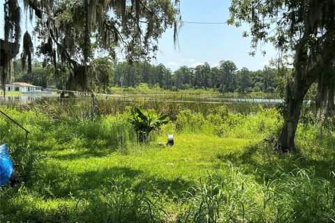 House in Groveland, Florida 3 bedrooms, 75.25 sq.m. № 2396236 - photo 5