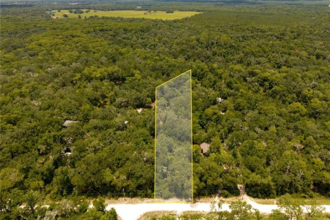 Land in Webster, Florida № 2233836